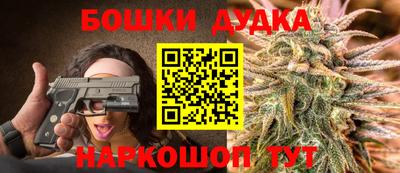 стаф Лесосибирск