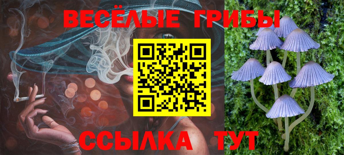 Галлюциногенные грибы MAGIC MUSHROOMS  Вход с VPN  Великий Устюг 