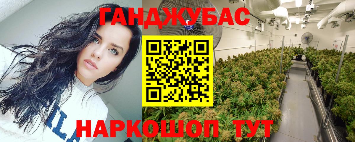 Канабис семена  Канабис AK-47  Канабис конопля  Вход с VPN  Великий Устюг  Конопля MAZAR 